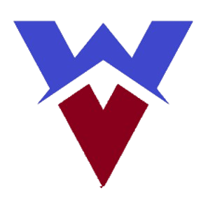 Visesh Global Tech Logo